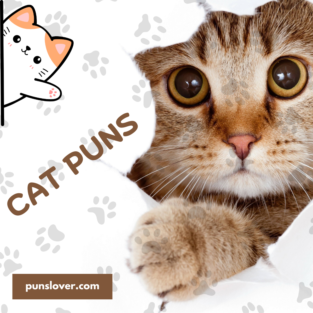 Cat Puns